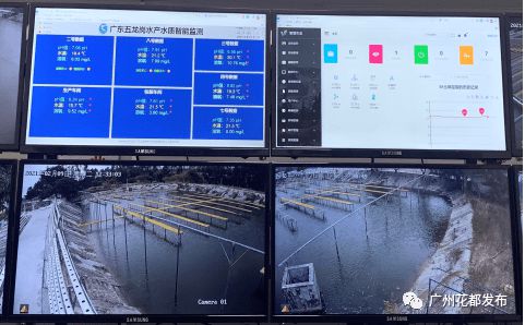 數(shù)字賦能 花都開啟現(xiàn)代農(nóng)業(yè)4.0時代，互聯(lián)網(wǎng)銷售引領(lǐng)產(chǎn)業(yè)新變革